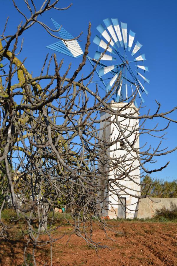 Agroturismo Finca Son Amora Palma de Maiorca Exterior foto